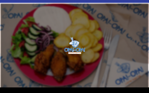 Opa Opa Greek Food screenshot 0