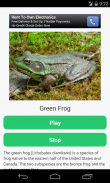 Frog Calls screenshot 1