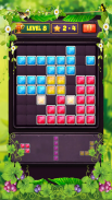 Block Puzzle Level screenshot 12