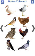 les noms des oiseaux avec photos et bruit oiseau screenshot 7
