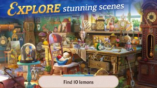 Seekers Notes: Hidden Objects screenshot 11