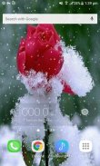 Snowy Red Rose LWP screenshot 1