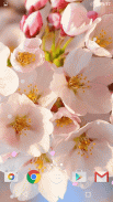 Sakura Wallpaper screenshot 4