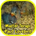 Master Terapi Paud Lovebird