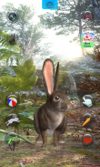 Talking Rabbit screenshot 5