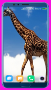 Giraffe Wallpaper screenshot 14