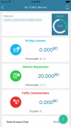 Traffic Services screenshot 1