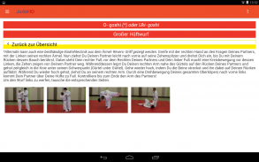 JudoHD screenshot 1