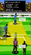 Hit Wicket Cricket 2018 - World Cup League Game screenshot 1