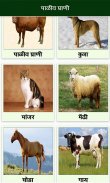 Animal Information in Marathi screenshot 3