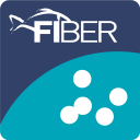 FIBER Laichzeit