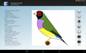 SBguide to Gouldianfinches screenshot 0