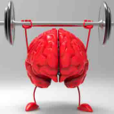 Brain SyntoGym