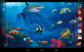 Interactive Shark screenshot 1