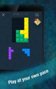 Infinite Block Puzzle screenshot 8