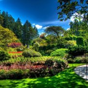 Beautiful Garden Wallpaper screenshot 10