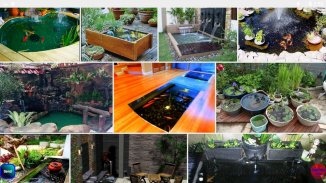 minimalist fish pond design ideas screenshot 7