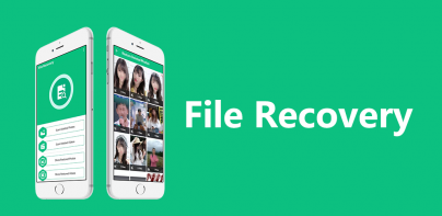 Deleted File Recovery