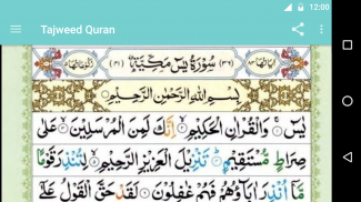 Tajweed Quran Free screenshot 2