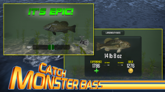Master Bass: Fishing Games screenshot 0