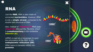 DNA Decoder screenshot 1