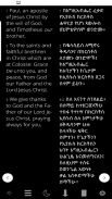 Holy Bible In Amharic/English screenshot 4