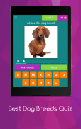 Best Dog Breeds Quiz screenshot 0