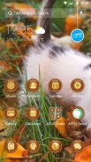 White Cat-APUS Launcher theme screenshot 0