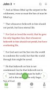Bíblia sagrada - Versículos screenshot 16