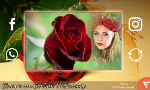 Romantic Rose Photo Frame : Flower photo frames screenshot 3