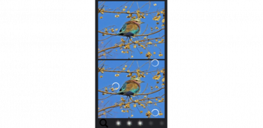 Spot the Difference Birds screenshot 11