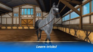 Horse Hotel - jogo de cavalo para amigos de cavalo screenshot 2