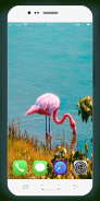 Flamingo Wallpaper HD screenshot 10