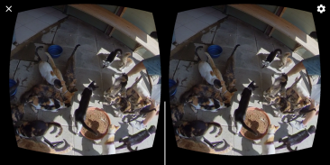 GizmoVR Lite: 360 Video & Tube screenshot 1