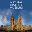 Natural History Museum LITE Icon