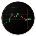 Binary Option And Forex Signal Icon