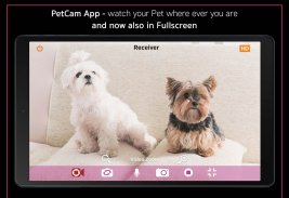 PetCam App - Dog Camera App screenshot 0
