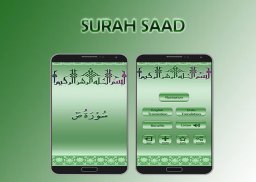 Surah Saad screenshot 0