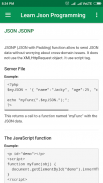 Learn Json Programming screenshot 4