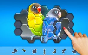 Hexágonos Hexa Jigsaw Puzzle™ screenshot 12