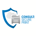Consult: Secure Print Icon
