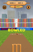 Bowled 3D - Cricket Game screenshot 17