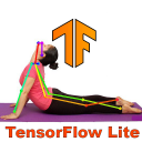 Tensorflow Lite Posenet Demo