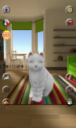 Falar Gato bonito screenshot 0