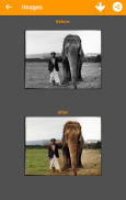 Black and White Photo Colorizer - Chromatix screenshot 3