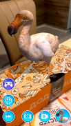 🦁 ZooAR - Virtual Zoo in Augmented Reality AR screenshot 4