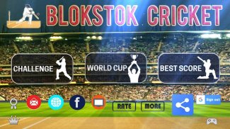 Blokstok Cricket screenshot 13