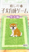 癒しの子犬育成ゲーム〜柴犬編〜 screenshot 1