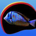 sfondi neon di pesce Icon