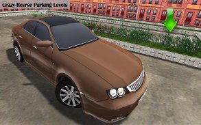 Membalik Mobil Parkir Sim 3D screenshot 8